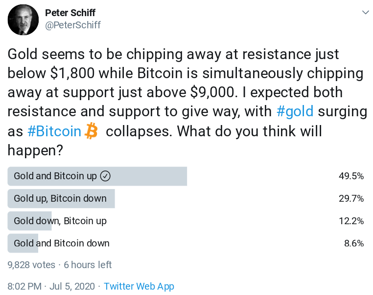 Peter Schiff’s Twitter survey results